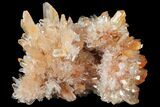 Orange Creedite Crystal Cluster - Durango, Mexico #99193-1